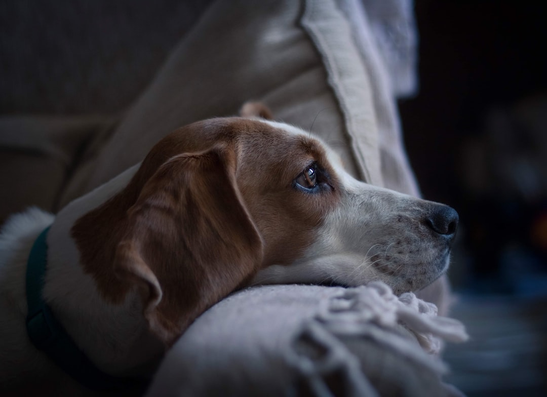 manuel meza boxx33tiqd4 unsplash